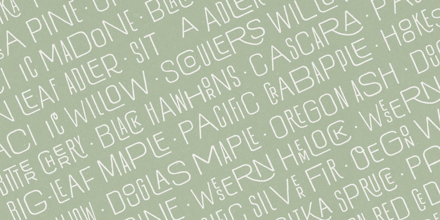 Hawkes Light Wide Font preview
